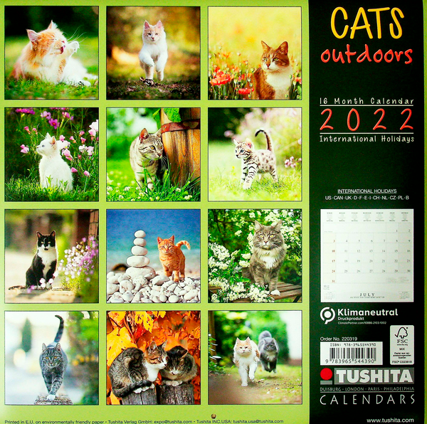 Паперова книга «Календарь на 2022 Cats Outdoors » - фото №1