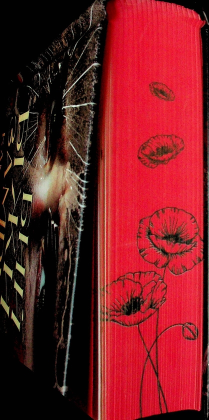 Паперова книга «Бий. Біжи. Замри», автор Каміла Грін - фото №1