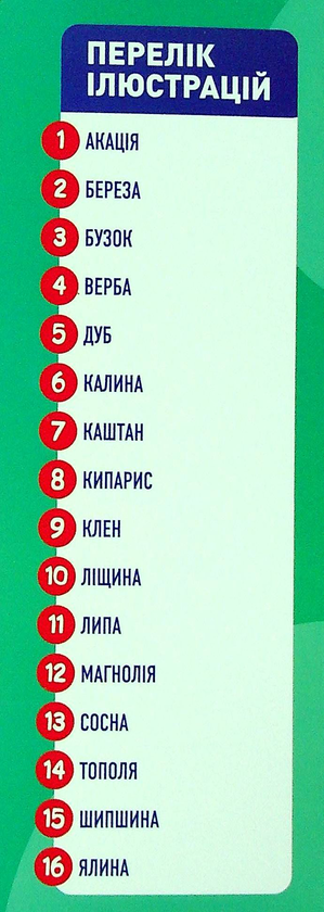 Бумажная книга «Дидактичний матеріал. Розповімо дітям. Про дерева та кущі» - фото №1