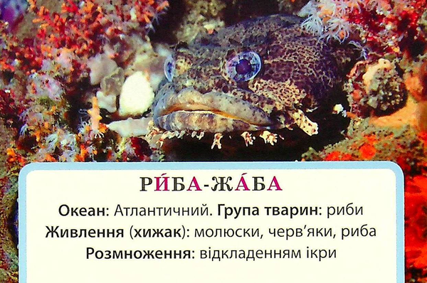 Бумажная книга «Досліджуємо воду та її властивості. Набір дидактичних матеріалів. 3-4 класи», авторов Татьяна Водолазская, Анна Заставская, Юлия Штанько - фото №1