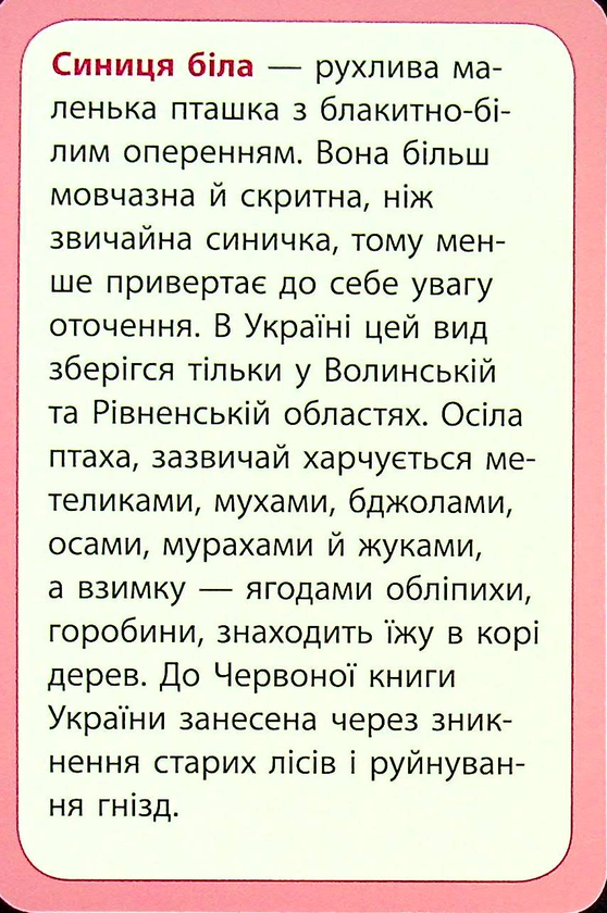 [object Object] «Досліджуємо повітря та його властивості. Набір дидактичних матеріалів. 3-4 класи», авторов Татьяна Водолазская, Анна Заставская, Юлия Штанько - фото №6 - миниатюра