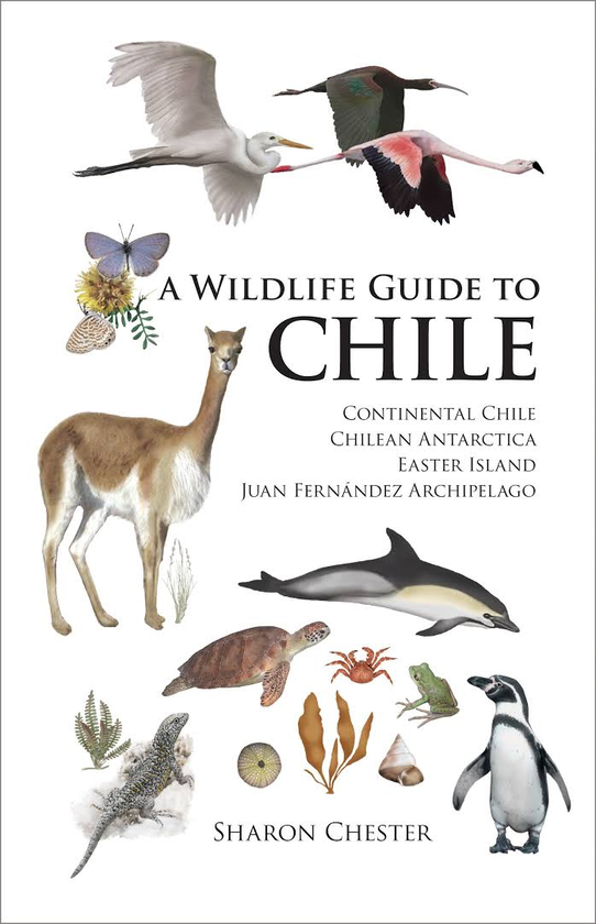 Паперова книга «A Wildlife Guide to Chile», автор Шерон Честер - фото №1