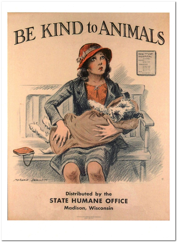  «Открытка Dennis Morgan — Be Kind to Animals I (DMO01)», бренда Artistic Card - фото №1