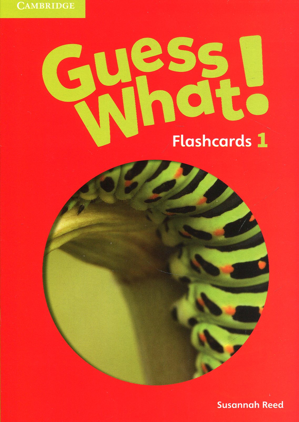 [object Object] «Guess What! Level 1 Flashcards (pack of 95) British English», автор Сусанна Рейд - фото №1