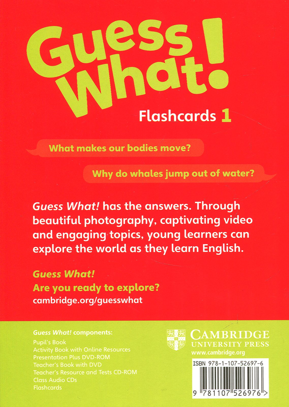 [object Object] «Guess What! Level 1 Flashcards (pack of 95) British English», автор Сусанна Рейд - фото №2 - мініатюра