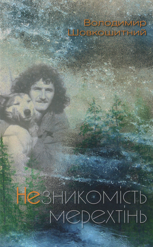 Книга Незникомість мерехтінь