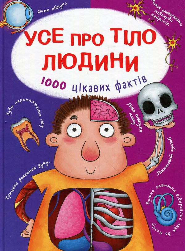 [object Object] «Усе про тіло людини (комплект із 3 книг)», автор Аліна Котка - фото №4 - мініатюра