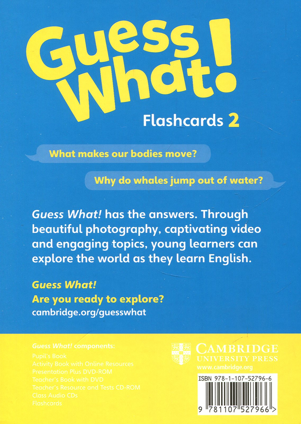 [object Object] «Guess What! Level 2 Flashcards (pack of 91) British English», автор Сусанна Рейд - фото №2 - мініатюра