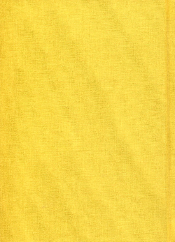Бумажная книга «Євангеліє від ластівки», автор Ирина Жиленко - фото №1