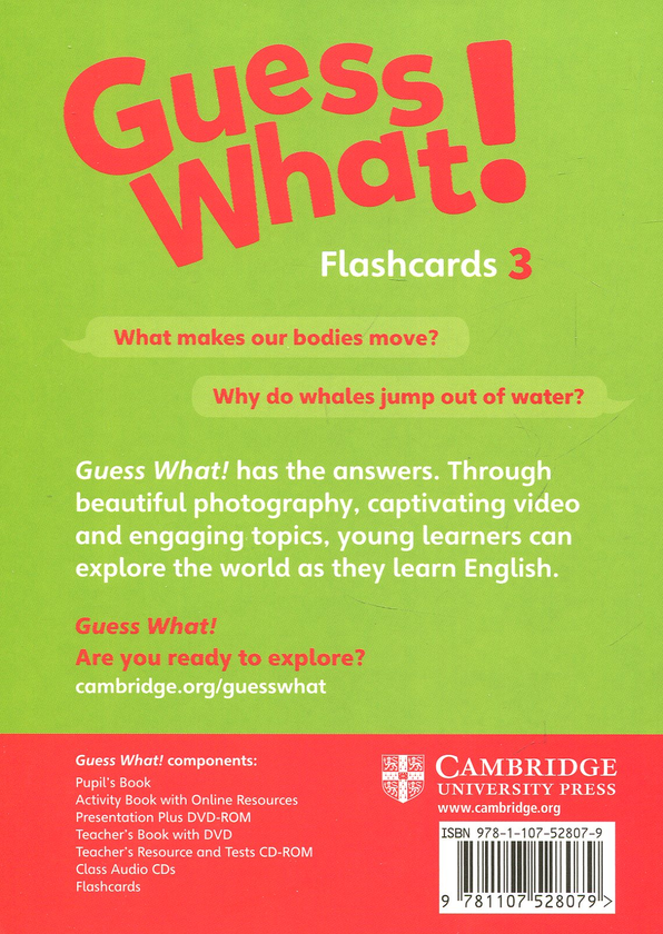[object Object] «Guess What! Level 3 Flashcards (pack of 75) British English», автор Сусанна Рейд - фото №2 - мініатюра