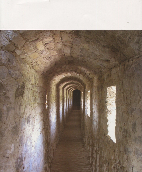 Бумажная книга «Castrum Camenecensis. Фортеця Кам’янець (пізньоантичний – ранньомодерний час)», автор Ольга Пламеницкая - фото №1