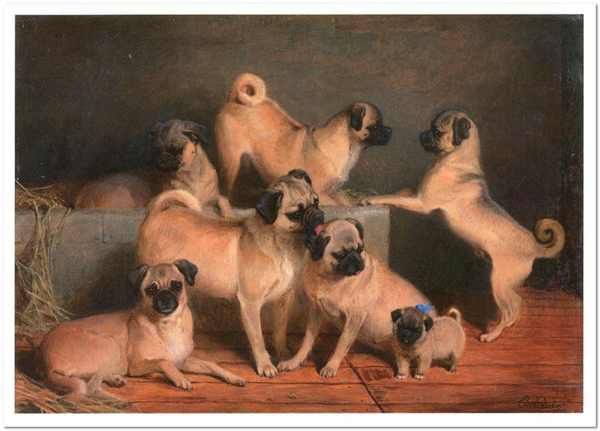  «Открытка Charles Burton Barber — A Family of Pugs (CB11)», бренда Artistic Card - фото №1