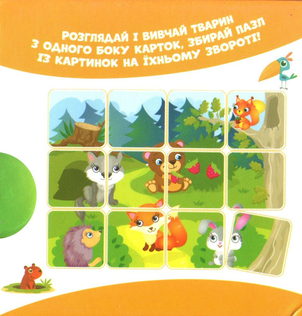 Паперова книга «У лісі. Тварини на картках» - фото №1