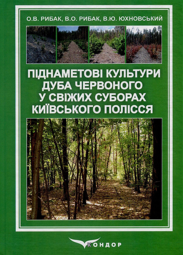 Книга Піднаметові культури дуба червоного у свіжих...