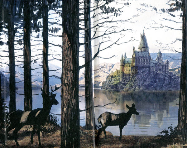Бумажная книга «Harry Potter Hogwarts Hardcover Ruled Journal. Блокнот» - фото №1
