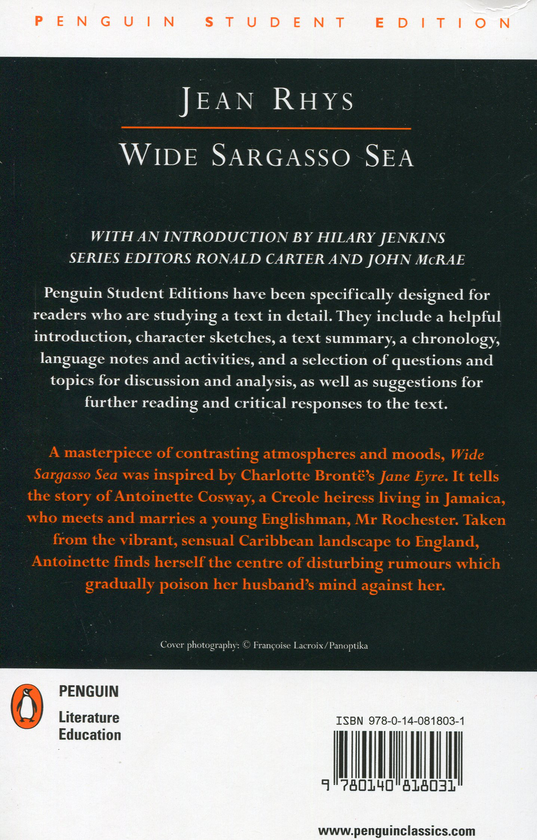 Бумажная книга «Wide Sargasso Sea», автор Джин Рис - фото №1