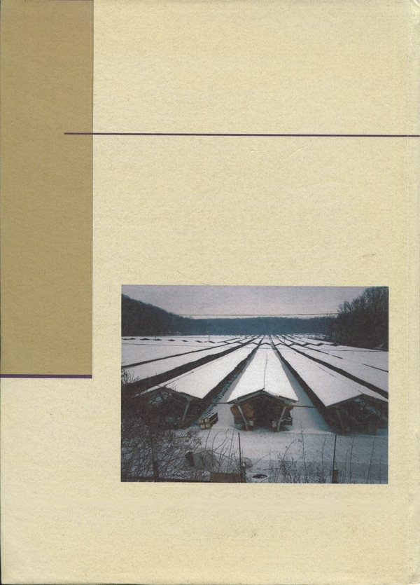 Бумажная книга «Репродуктивна здатність норок», авторов О. Гавриш, О. Гончар, Алексей Гончар - фото №1
