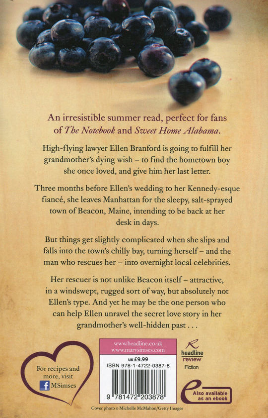 Бумажная книга «The Irresistible Blueberry Bakeshop and Café», автор Мэри Симсес - фото №1