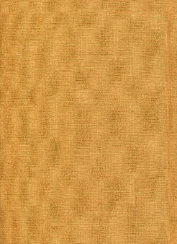 Бумажная книга «Вийшов з радіо чорний лев», автор Иван Драч - фото №1