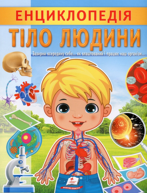 Паперова книга «Енциклопедія. Тіло людини», автор Ганна Логвінкова - фото №1