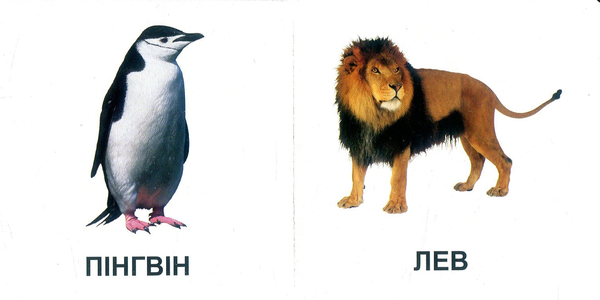 Паперова книга «Звірята» - фото №1