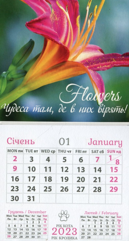 Паперова книга «Календар-магніт на 2023. Flowers. Чудеса, там де в них вірять» - фото №1