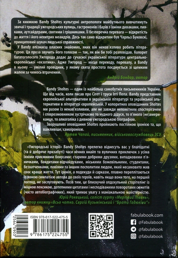 Паперова книга «Ужгородські історії», автор Банді Шолтес - фото №1