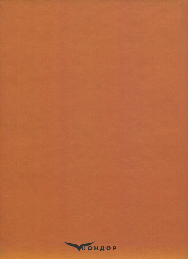 Паперова книга «Основи казначейської справи», авторів Н. Хрущ, І. Форкун, Т. Гордєєва - фото №1