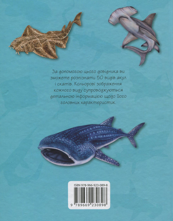 Бумажная книга «Акули і скати. 50 найвідоміших видів» - фото №1