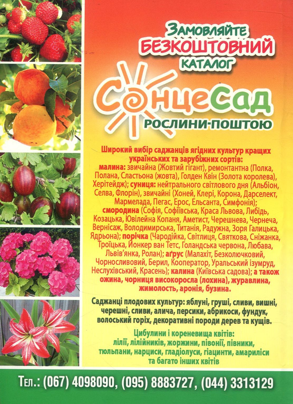 Бумажная книга «Ягідні культури в селянських і фермерських господарствах України», автор Василий Марковский - фото №1