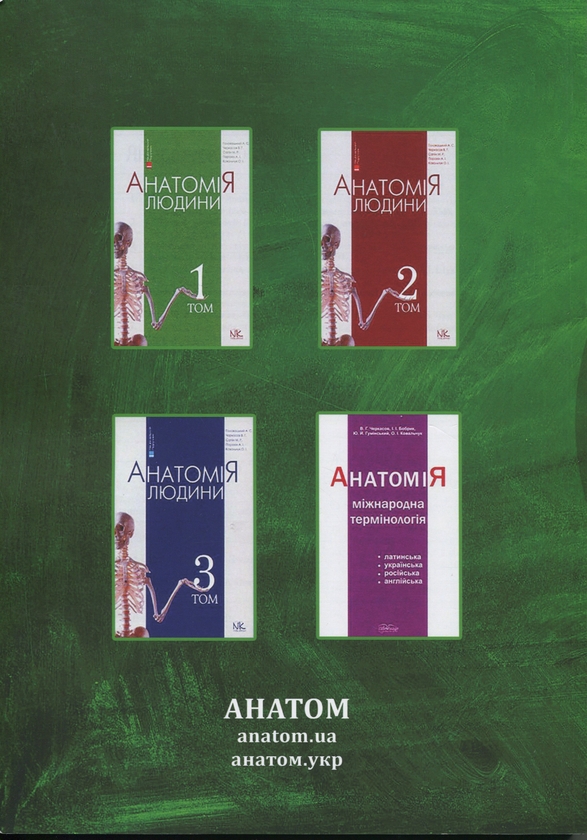 Бумажная книга «Анатомія людини. Контроль за самостійною підготовкою до практичних занять», авторов  В. Черкасов, И. Дзевульская, О. Ковальчук - фото №1