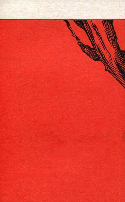 Паперова книга «Каміння під косою», автор Ольга Мак - фото №1