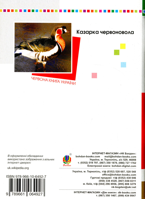 Бумажная книга «Українська мова. Творчі завдання. 4 клас », автор Наталья Будная - фото №1