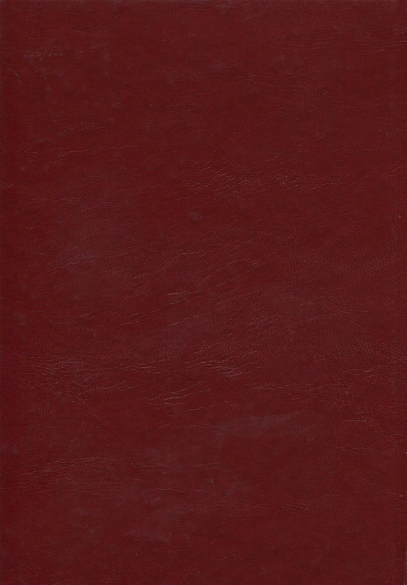 Бумажная книга «Михайло Грушевський. Твори у 50 томах. Том 10. Книга І. Історичні студії та розвідки (1924-1930)», автор Михаил Грушевский - фото №1