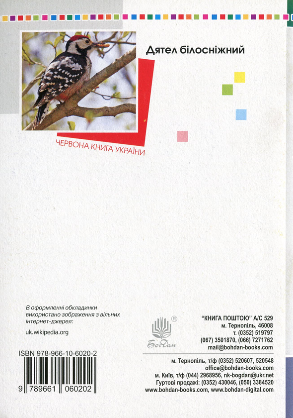 [object Object] «НУШ. Я досліджую світ. 2 клас. Тестові завдання», автор Наталя Будна - фото №2 - мініатюра
