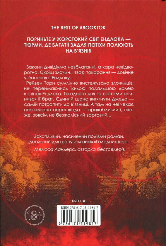 Паперова книга «Ув'язнити дику пташку», автор Брук Фест - фото №1