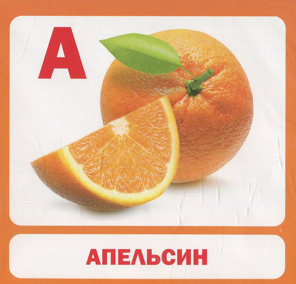 Бумажная книга «Абетка. 34 картки» - фото №1