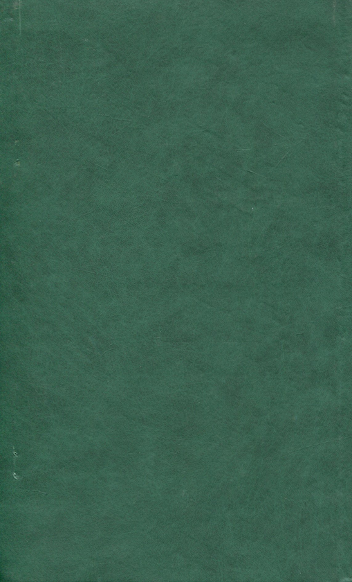Бумажная книга «Шевченкова дорога в Білорусь» - фото №1