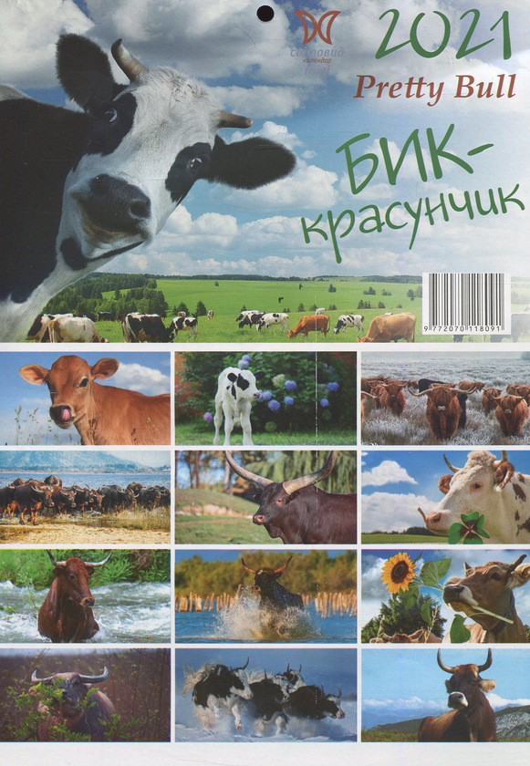 Паперова книга «Календар на 2021. Світовид Міні. Рік бика. Бик-красунчик» - фото №1