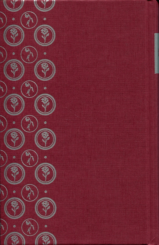 Бумажная книга «Портрет Доріана Ґрея», автор Оскар Уайльд - фото №1
