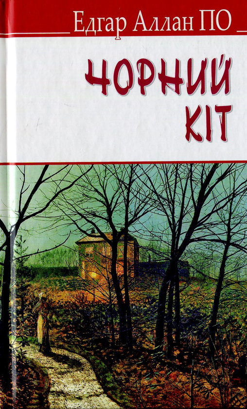 Паперова книга «Чорний кіт та інші історії», автор Едгар Аллан По - фото №1