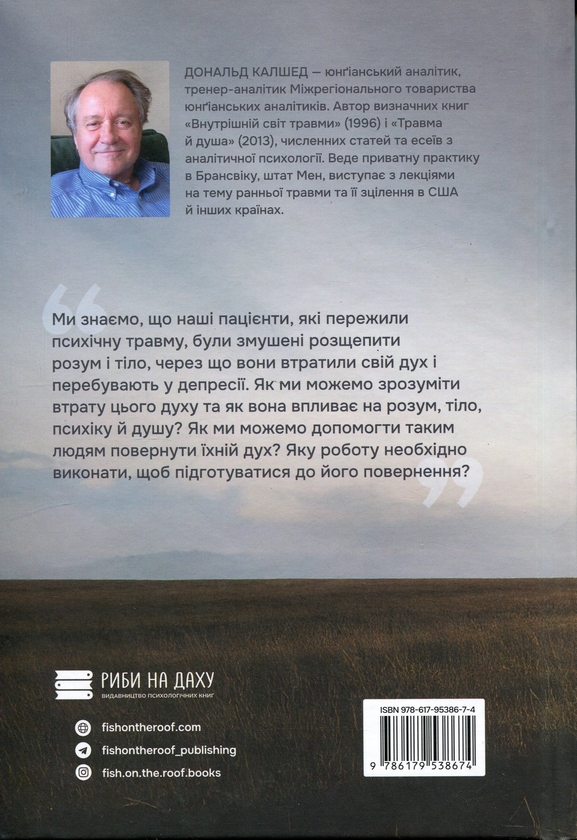 Бумажная книга «Внутрішній світ травми. Архетипові захисти особистісного духу », автор Дональд Калшед - фото №1