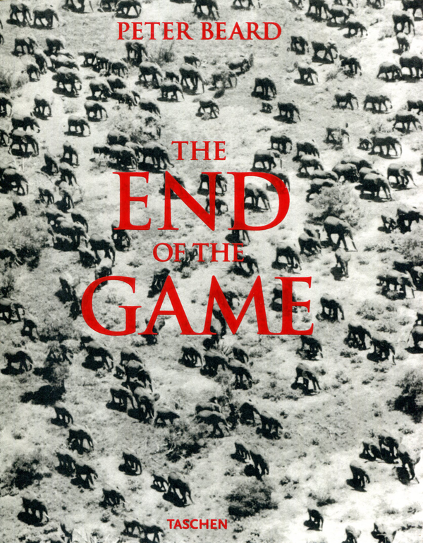 Паперова книга «The End of the Game», автор Пітер Берд - фото №1