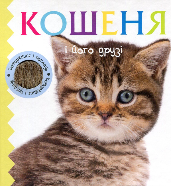 Паперова книга «Кошеня і його друзі» - фото №1