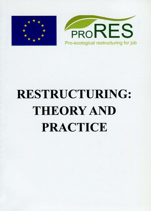 Бумажная книга «Restructuring. Theory and practice» - фото №1