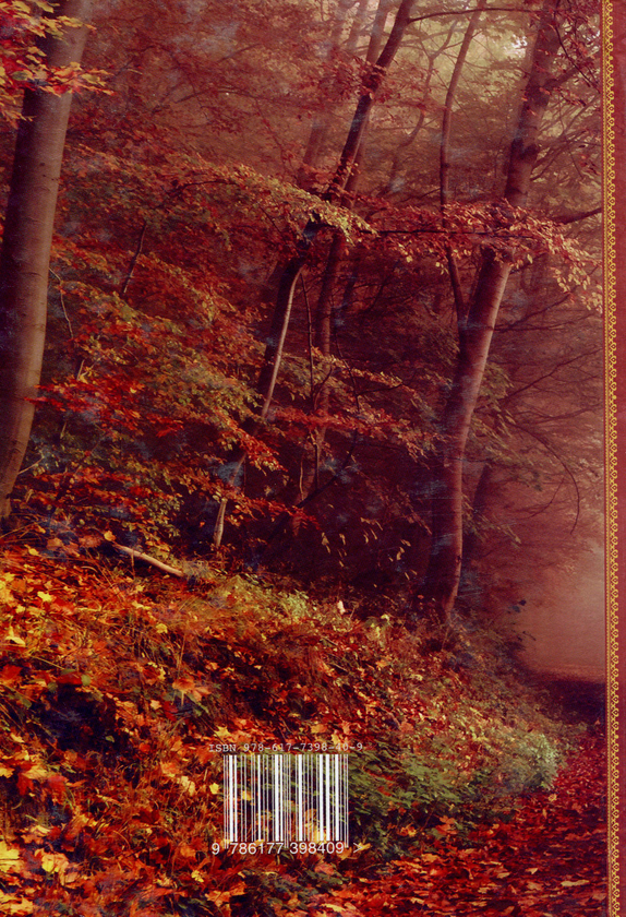 Паперова книга «Де свище Овлур», автор Петро Сорока - фото №1