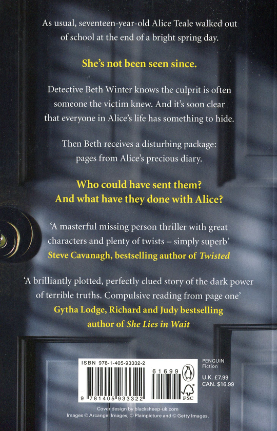 Паперова книга «Alice Teale Is Missing», автор Говард Лінскі - фото №1