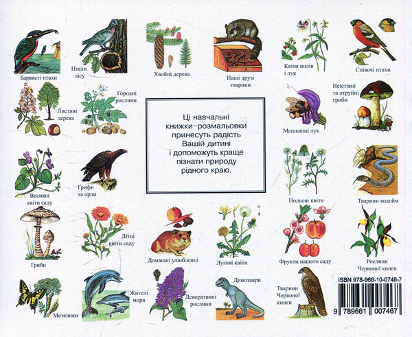 Бумажная книга «Польові квіти. Навчальна книжка-розмальовка», автор Эрвин Айгнер - фото №1