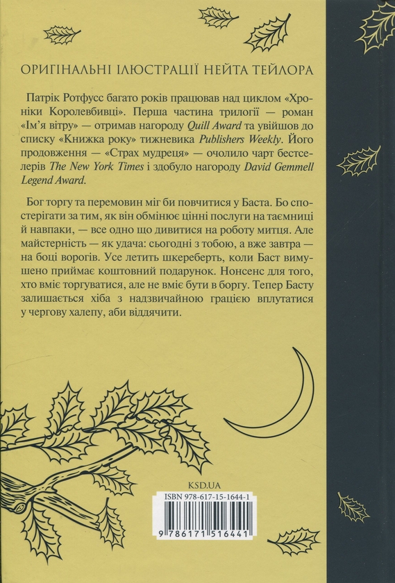 Паперова книга «Вузька дорога між бажаннями», автор Патрік Ротфусс - фото №1