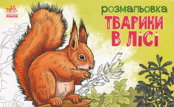 Паперова книга «Тварини в лісі. Розмальовка» - фото №1